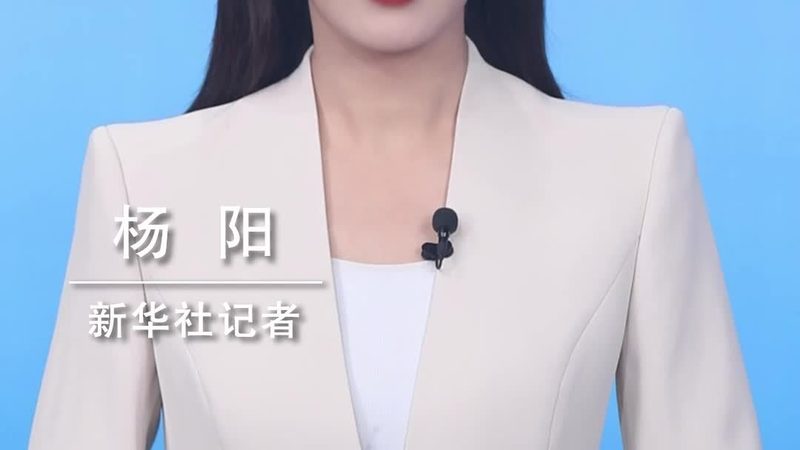 数据湖批量处理：揭秘高效数据处理背后的技术奥秘